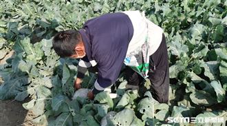 車禍補償低收沒了　單親爸靠自己養家