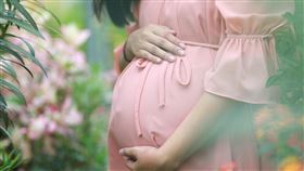 孕婦、驗孕、懷孕，示意圖pixabay