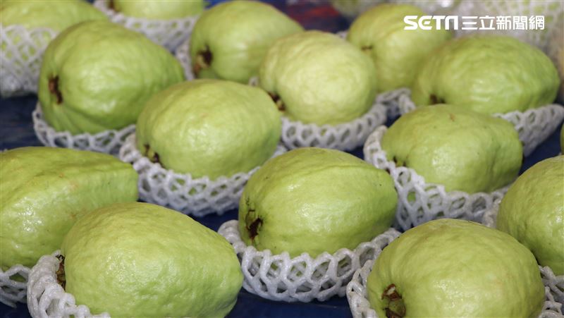 台灣常叫的「芭樂」，在中國大陸與較正式的名稱多使用「番石榴」。(圖／農委會農糧署）