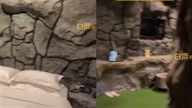 天津一名男子隔離時住到花果山主題房。（圖／翻攝自《白鹿視頻》）