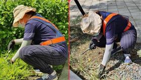 媽媽送國中女兒去勞改 拔草（圖／翻攝自爆廢公社）