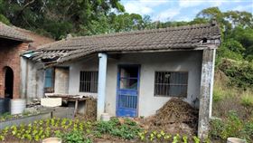 苗栗通霄鎮白東里，67歲駱姓老翁，獨居豬舍「廢墟」露天蝸居、喝雨水如「原始人生活」 （圖／希望義工團授權提供）