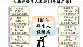 大腸癌已連續14年蟬聯十大癌症之首。（圖／記者簡浩正攝影）