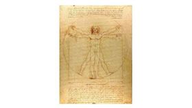 ▲維特魯威人Vitruvian Man（圖／主辦單位提供）