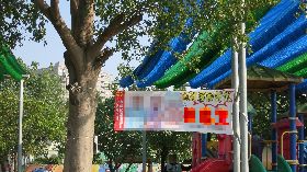 台南違規廣告林立  環保局強制拆除