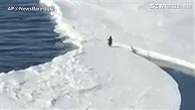 ▲企鵝奮力一跳。（圖／AP ／Newsflare　授權）