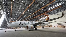 台灣虎航邀請董陽孜老師為台灣虎航親自創作「虎虎生風」四字，並將彩繪在機身編號B-50015的航機上。（圖／業者提供）