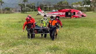 遊二子山溫泉遭虎頭蜂螫　6傷2昏迷