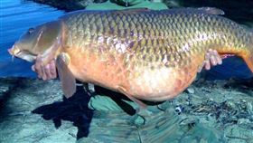 鯉魚

https://www.flickr.com/photos/catsncarp/2290487023/in/photolist-4upkZz-bpEDP9-34Pun7-9E1ttt-3m9RME-s8jjkB-cbyHuY-QTtns6-4rjHwy-4obZcq-4rjHV3-4rjJhU-a4k3P3-4yYbw3-KHvg-9nWneY-4qH8Uj-bqb9RP-4o77Uz-4