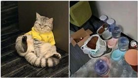 寵物貓被困在染疫大樓，飼主急忙求助深圳衛健委，沒想到立刻得到官方援助。（圖／翻攝自極目新聞）