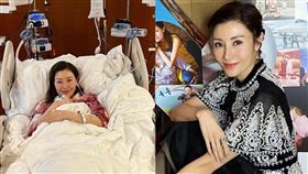 李嘉欣急診緊急送加護病房搶救48小時，救回一命。（圖／翻攝michele_monique_reis IG）