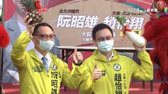 綠新人拚藍票倉　大安文山可望提5席