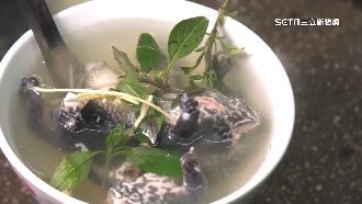北港青蛙湯老饕超愛　不剁不切端上桌