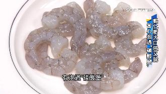 一眼分辨！生鮮蝦仁泡磷酸鹽呈透明樣