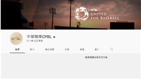 中職,被盜,兄弟,彩帶,比特幣(翻攝自 中華職棒CPBL YouTube)
