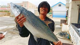 ▲白腹魚今年數量稀少，市場售價每公斤7,000元起跳（圖／李復源記者提供）