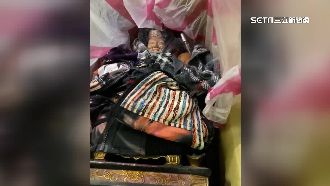 偷土地公遭逮　賊：看神明髒髒幫洗澡