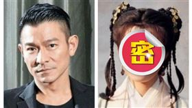 ▲劉德華；陳少霞。（圖／翻攝自百度百科）