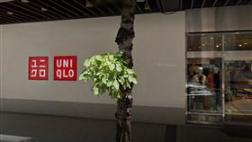 JC PARK新莊店。GOOGLE地圖