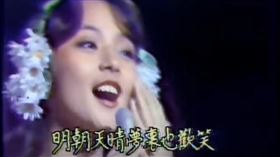 翻攝自點燈節目＋翻攝自一道彩虹節目＋記者珍藏黑膠唱片