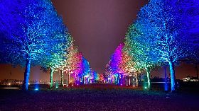 宜蘭安農溪落羽松秘境點燈