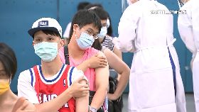 北市春節苗0730(DL)