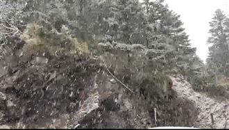 水氣充足！合歡山冰霰伴雪花美炸