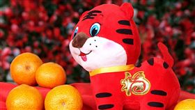 春節　虎年　過年　農曆年（圖／翻攝自Pixabay）
