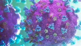 研究團隊發現「超級抗體」，能對抗新冠病毒及各種變種病毒。圖為新冠病毒電腦繪圖模型。（圖／翻攝自「NEXU Science Communication」官網）