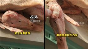 中國一名父親在市場買2隻鵝，回家發現頭部遭不肖業者「改造」，其實是鴨子。（圖／翻攝自極目新聞微博）