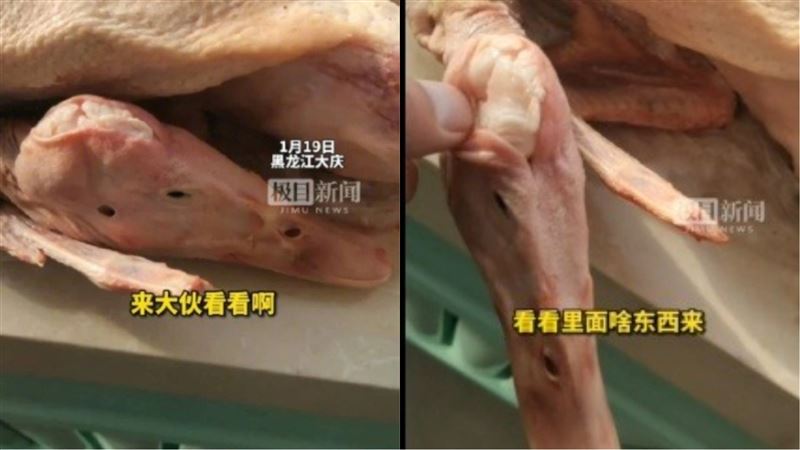 中國男買鵝　回家傻眼竟是「整形鴨」