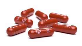 法國衛生部22日表示，因默沙東COVID-19口服藥試驗數據不理想，已取消先前的5萬份訂單。（圖／翻攝自默沙東集團網頁merck.com）
