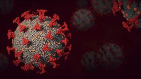 omicron（圖／翻攝自pixabay）