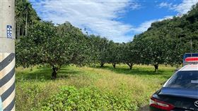 與友打獵誤觸果園電網昏迷  男送醫不治（2）花蓮瑞穗一名潘姓男子22日深夜與友上山打獵，誤闖架設電網的果園，潘男欲關電源卻不慎觸電昏迷，送醫不治。警方調查，案發現場果園為楊姓男子私人土地，為防止山豬等動物破壞果園，因此設置電瓶12V、鐵絲網、高壓電阻器，並設有警告標語。（花蓮縣警察局提供）中央社記者李先鳳傳真  111年1月23日