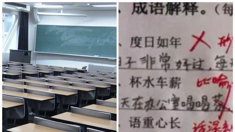 小學成語0分　網見考卷卻笑：是天才