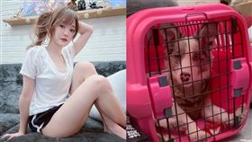 （圖／翻攝自周荀臉書）