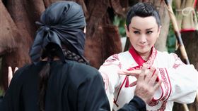 陳亞蘭。（圖／欣湉國際提供）