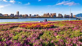 ▲台北花海懶人包。（圖／台北市工務局提供）