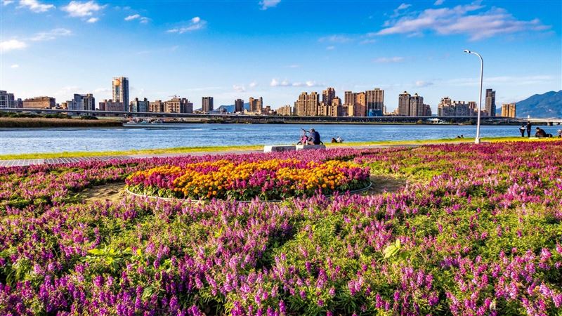 踏春賞花趣！春節3大花海景點懶人包