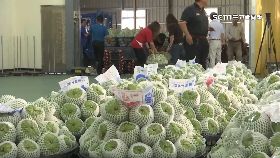 文 郵局助釋迦1800