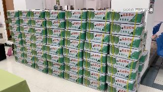 疫情燒卡物流　台東郵局助運鳳梨釋迦