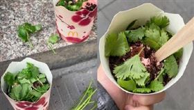 中國網友自行DIY香菜冰旋風。（圖／翻攝自Florian小紅書）