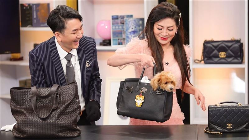 王彩樺用愛馬仕包裝狗　全場大傻眼