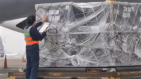 ▲最後一批BNT疫苗今日抵台！（圖／翻攝畫面）