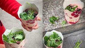 麥當勞將推限定「香菜冰旋風」

圖／小紅書@跌落凡间的柚子