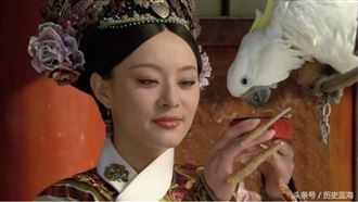 真相曝！甄嬛養的鸚鵡為何不會說話？