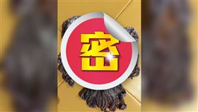 網友介紹澎湖過年必加年菜之一「石鮔乾」。（圖／翻攝自廚藝公社）