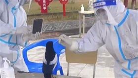 廣西有小鳥做核酸（圖／翻攝自微博）