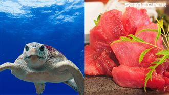 合法「生吃」海龜肉！導遊吃一口難忘