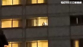 居家隔離，居家檢疫，防疫旅館（圖／資料照）